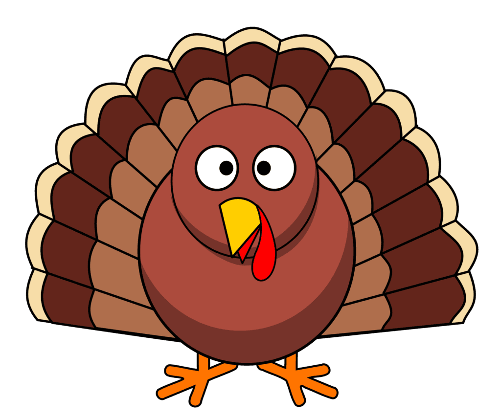 Image of a Turkey
